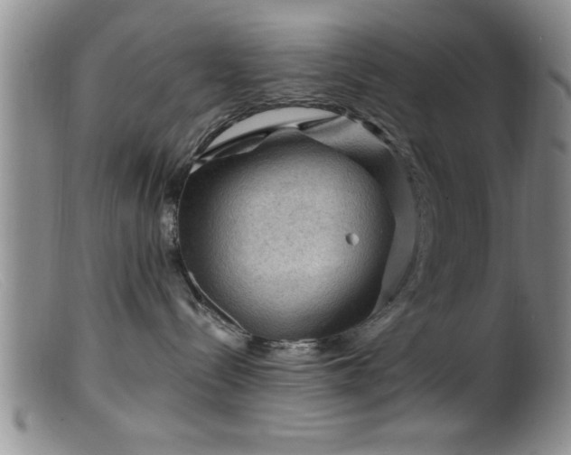 X0000099450288200805161030