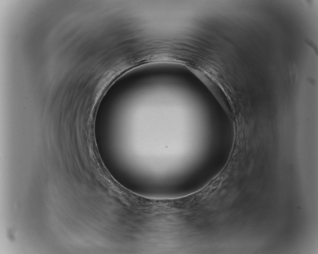 X0000099450289200805161029