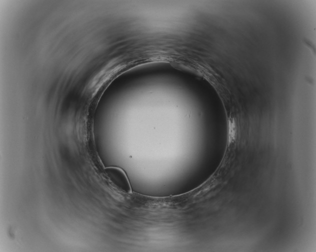 X0000099450291200805161029