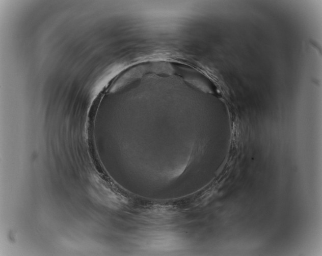 X0000099450292200805161029