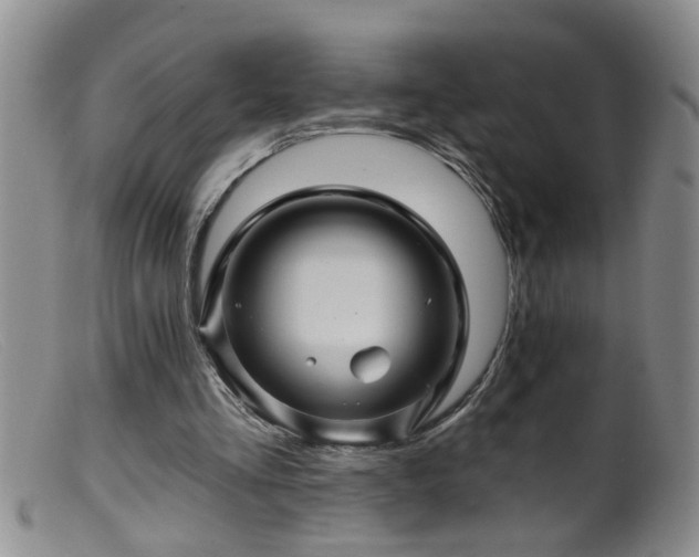 X0000099450293200805161029