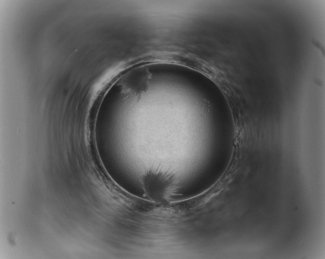 X0000099450294200805161029