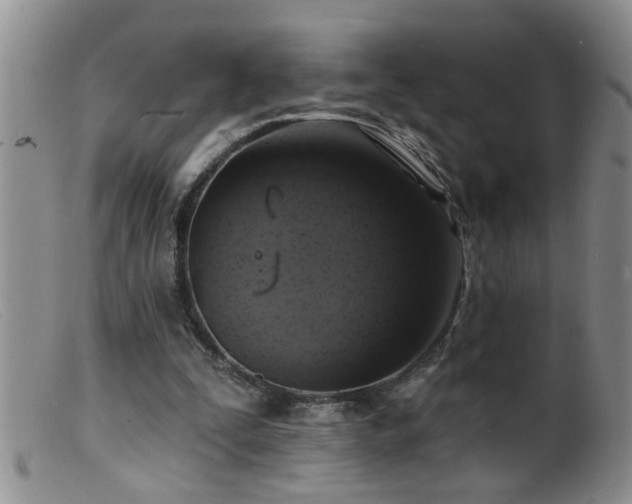 X0000099450295200805161029