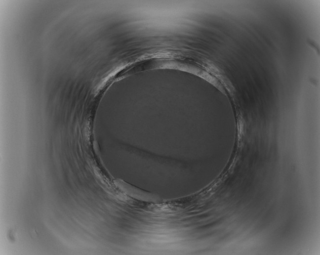 X0000099450297200805161029