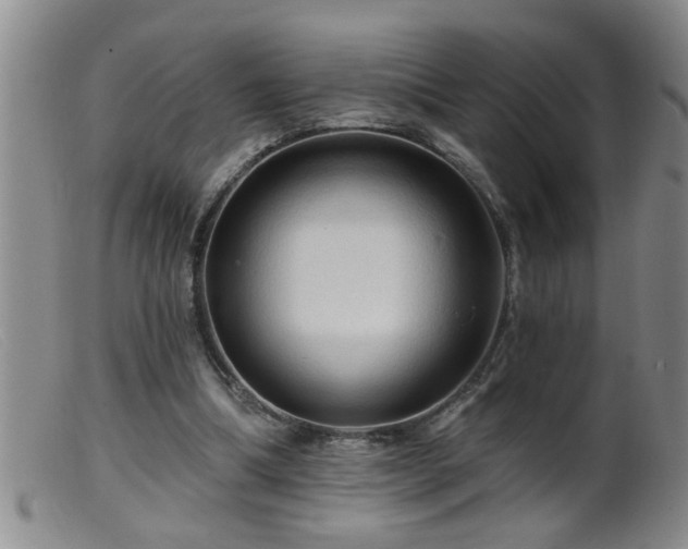 X0000099450298200805161029