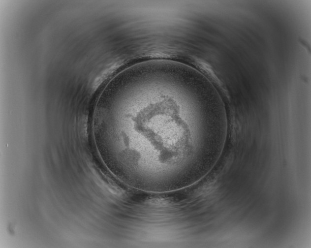 X0000099450299200805161029