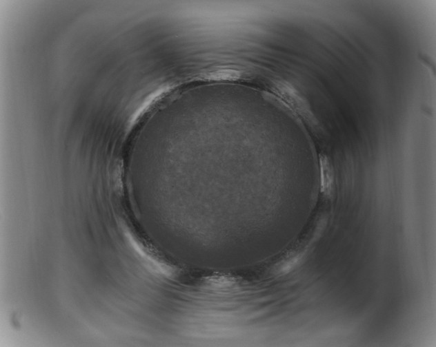 X0000099450300200805161029