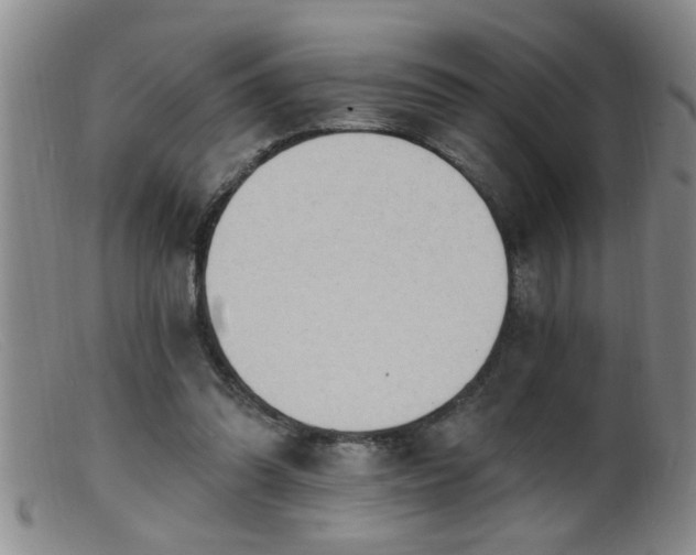 X0000099450302200805161029