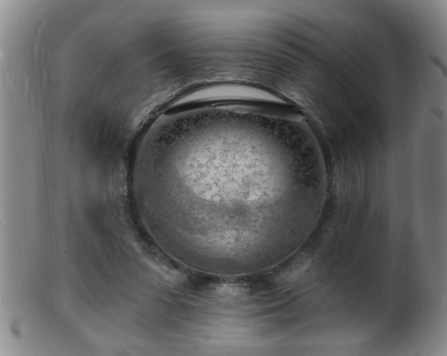 X0000099450303200805161029