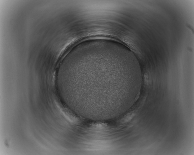 X0000099450304200805161029