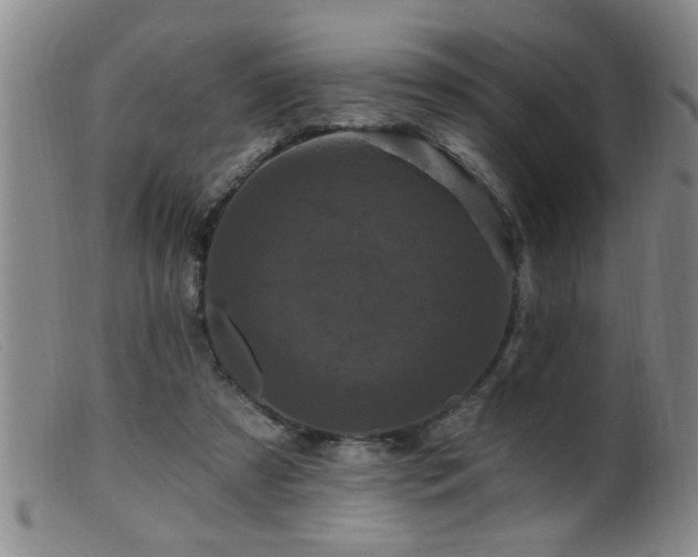 X0000099450305200805161029