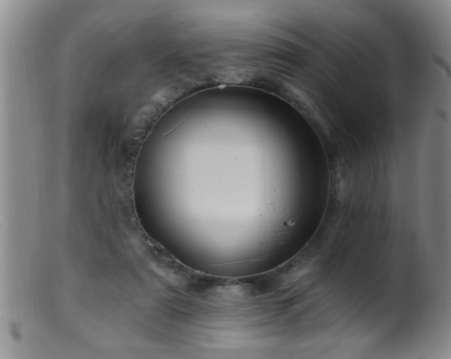 X0000099450307200805161029