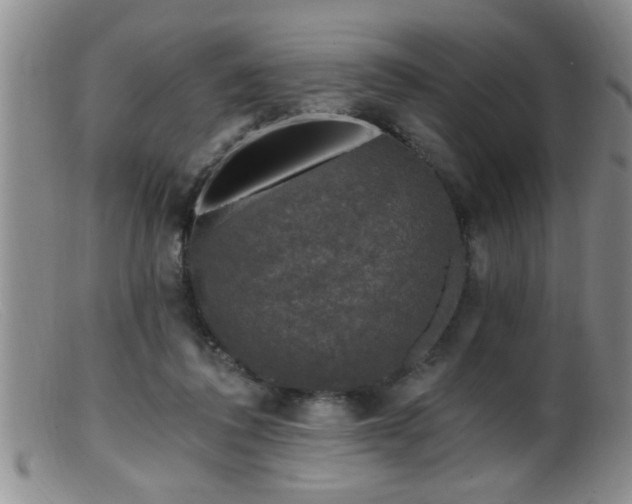 X0000099450308200805161029