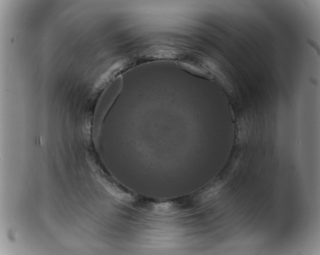 X0000099450309200805161029