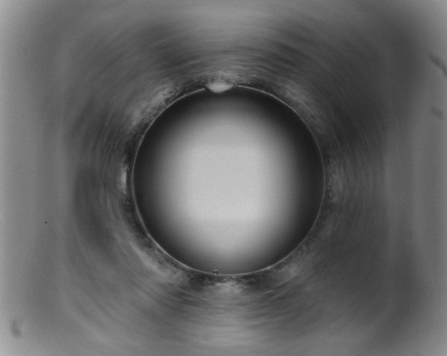 X0000099450310200805161029