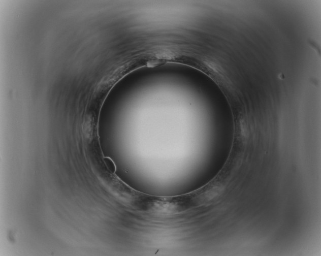 X0000099450311200805161029