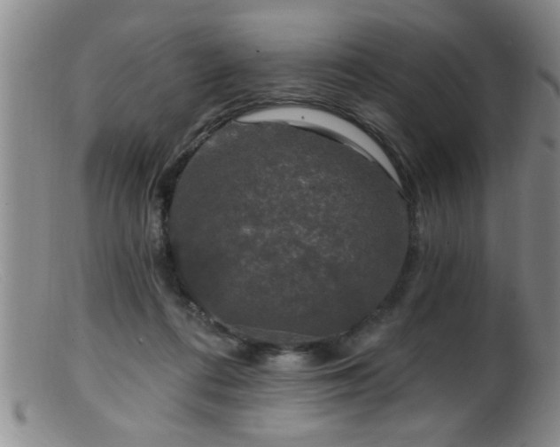 X0000099450312200805161029