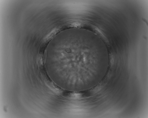 X0000099450313200805161029