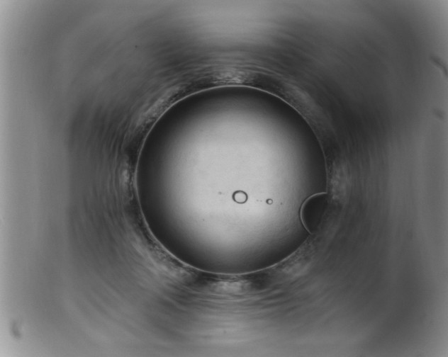 X0000099450314200805161029