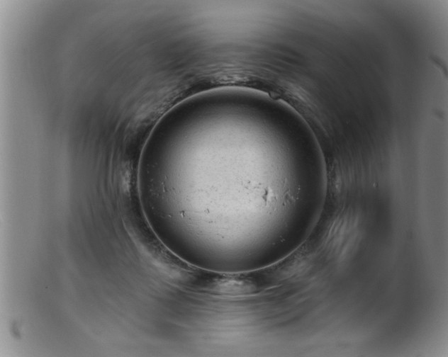 X0000099450315200805161029