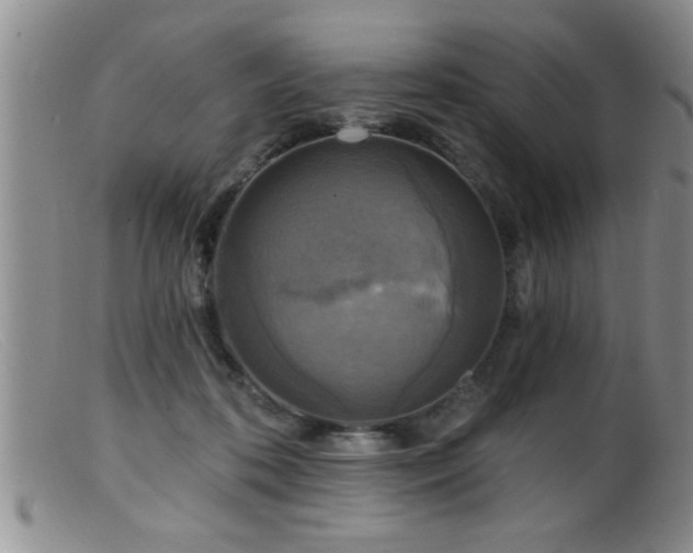 X0000099450316200805161029