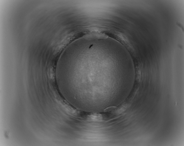 X0000099450317200805161029