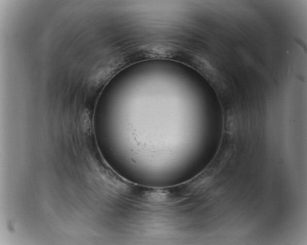 X0000099450318200805161029