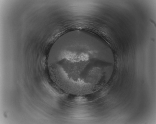 X0000099450319200805161029