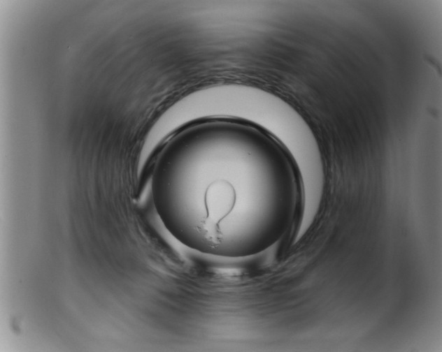 X0000099450320200805161029