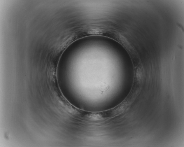 X0000099450322200805161028