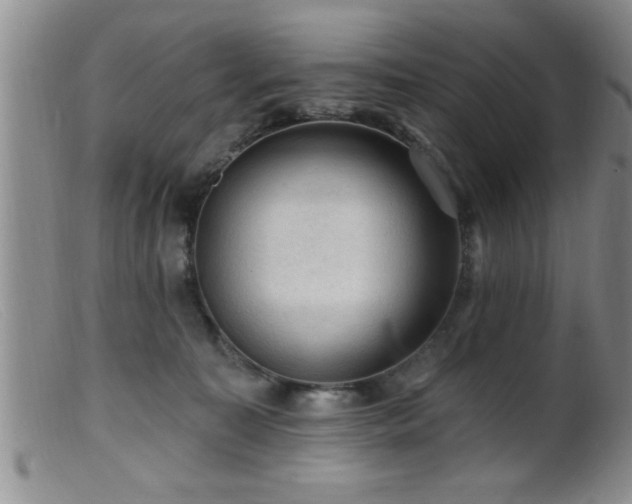 X0000099450323200805161028