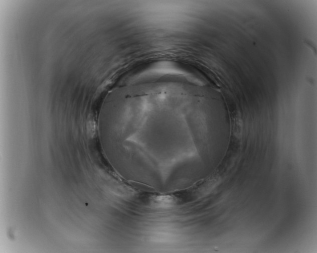 X0000099450324200805161028