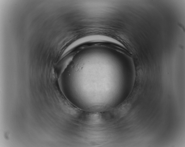 X0000099450325200805161028