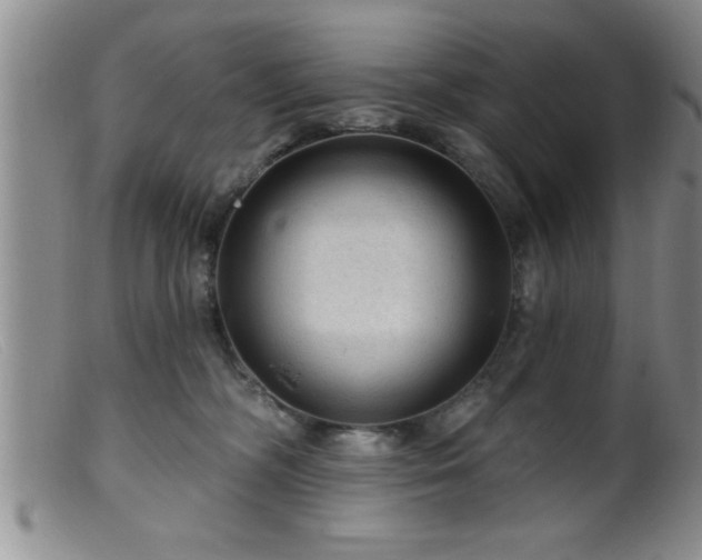 X0000099450326200805161028