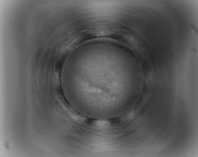 X0000099450327200805161028