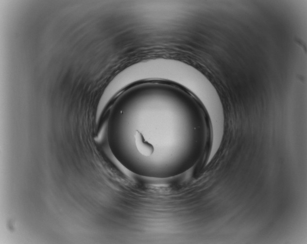 X0000099450328200805161028