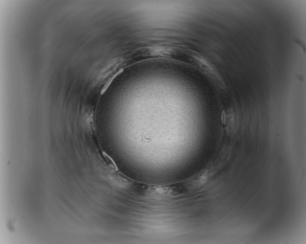 X0000099450329200805161028