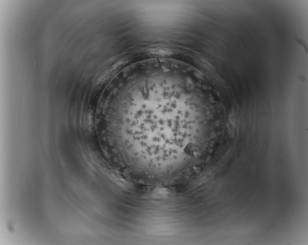 X0000099450330200805161028