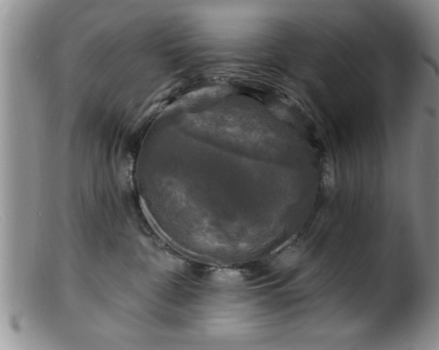 X0000099450332200805161028