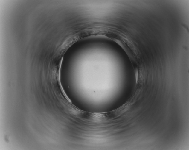 X0000099450333200805161028