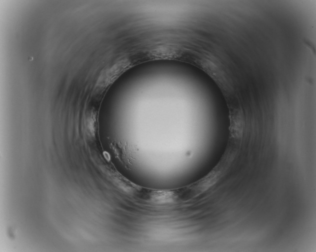 X0000099450334200805161028