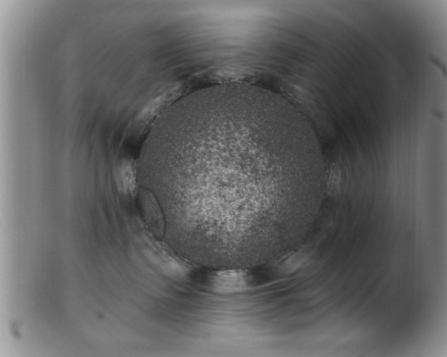 X0000099450335200805161028