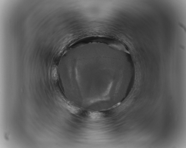 X0000099450336200805161028