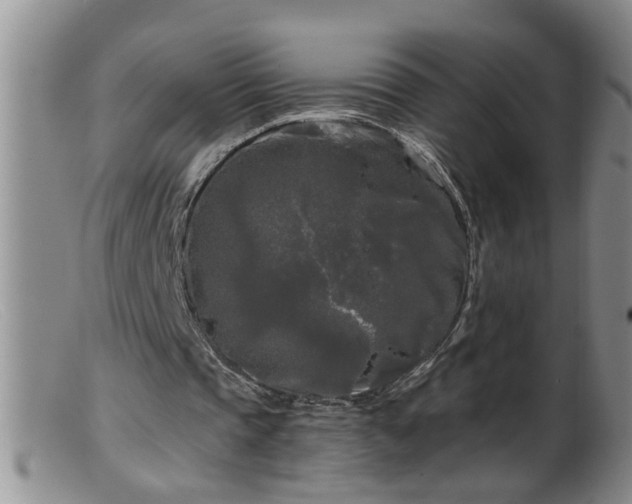 X0000099450337200805161027