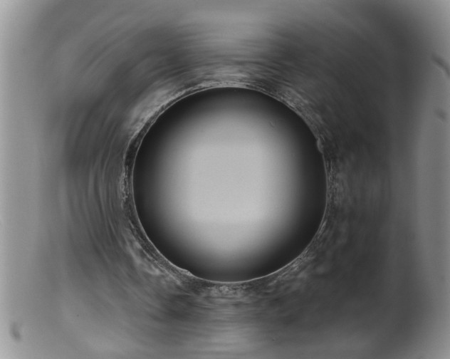 X0000099450338200805161027