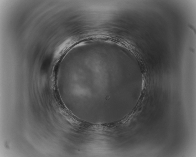 X0000099450339200805161027