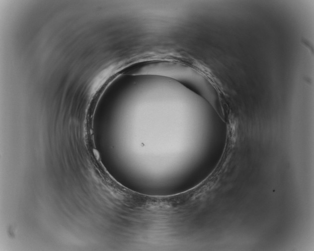 X0000099450340200805161027