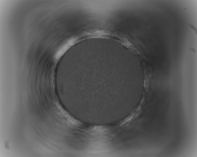 X0000099450341200805161027