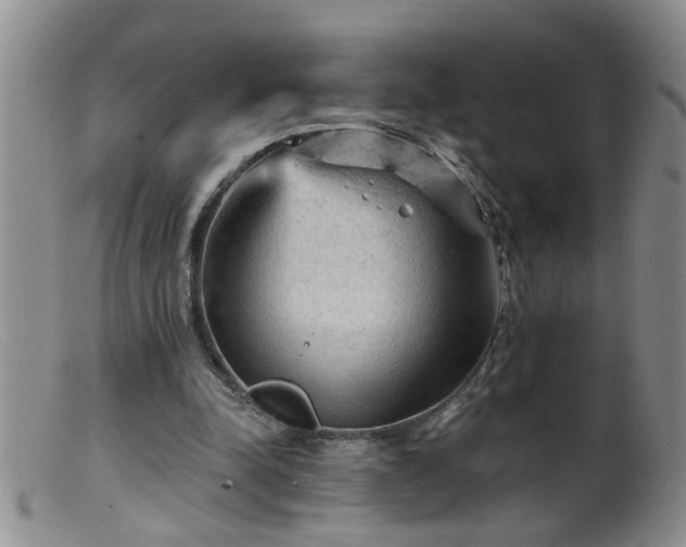 X0000099450342200805161027