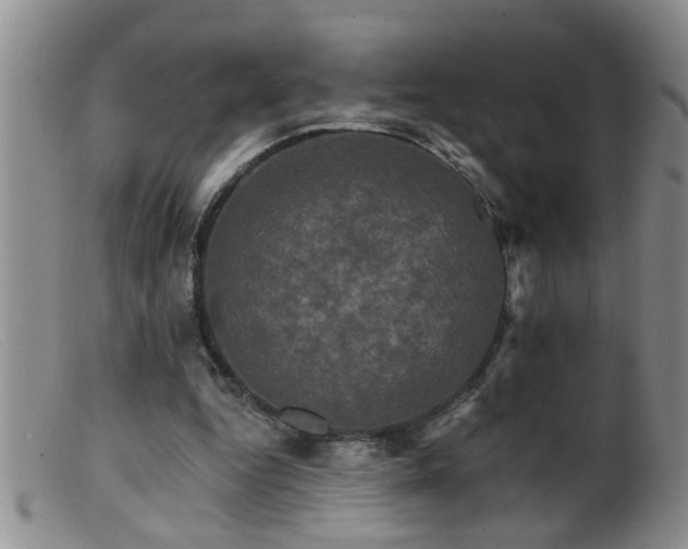 X0000099450344200805161027